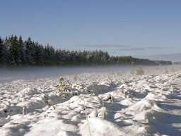 IMGP9464_Vinterstemning